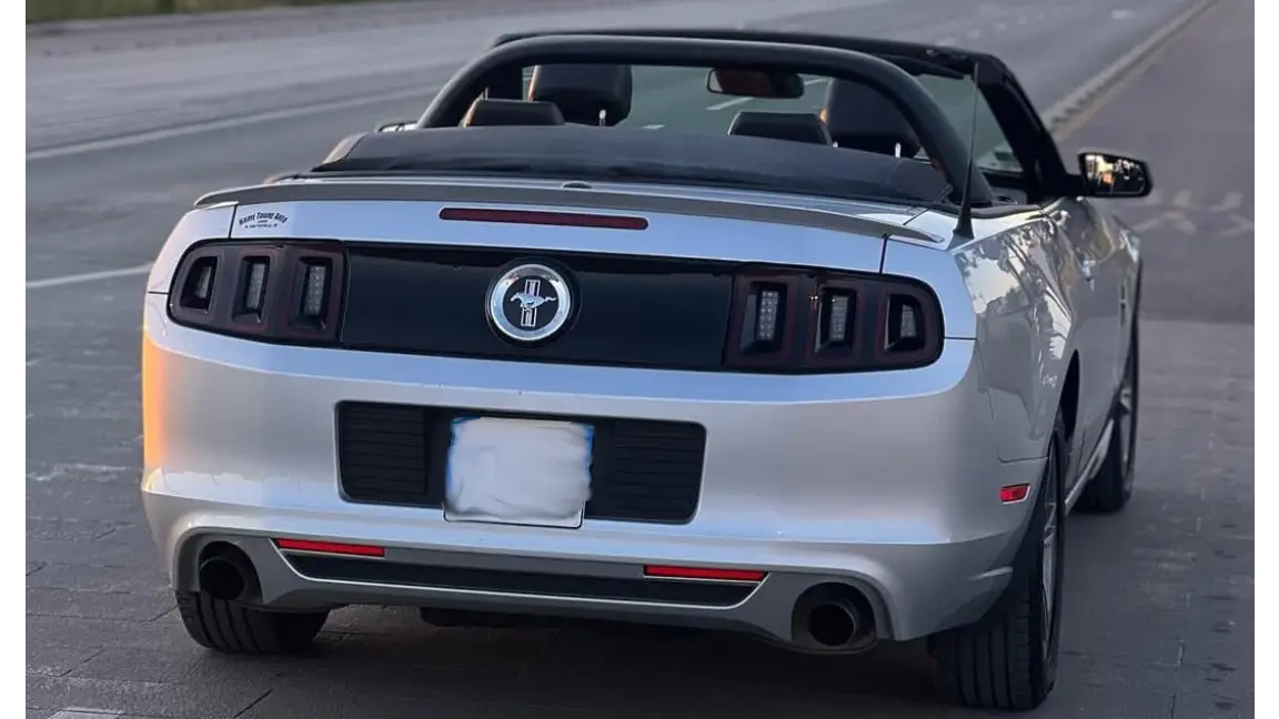 n (1)
