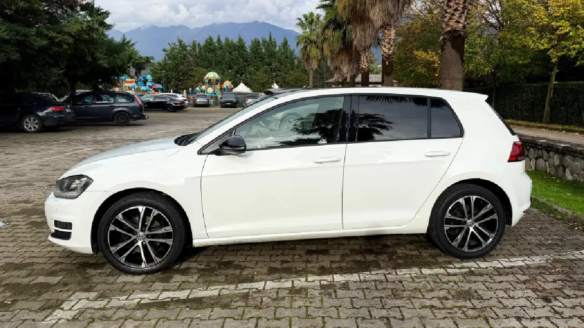 golf 7 (4)