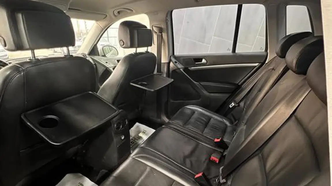 tiguan (1)