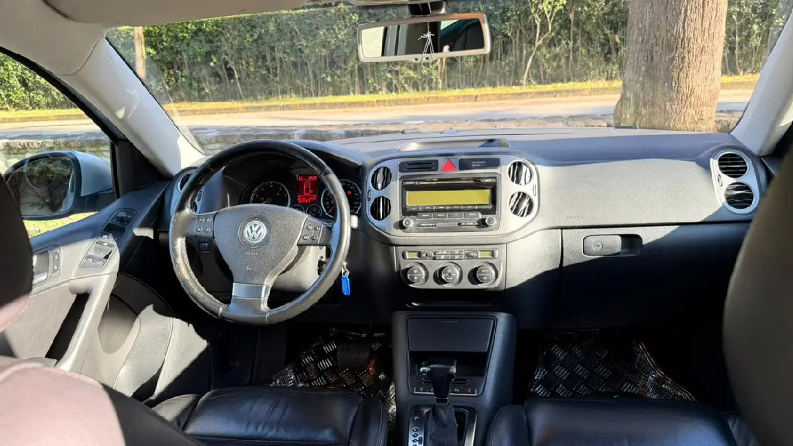 tiguan (1)