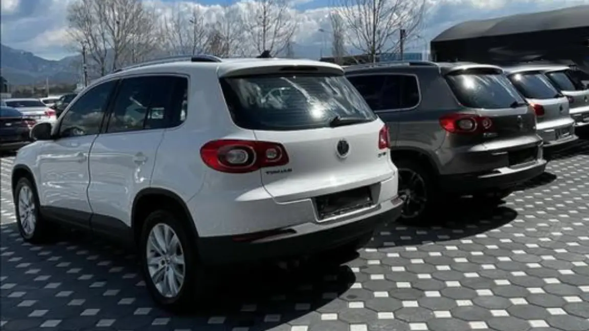 tiguan (3)
