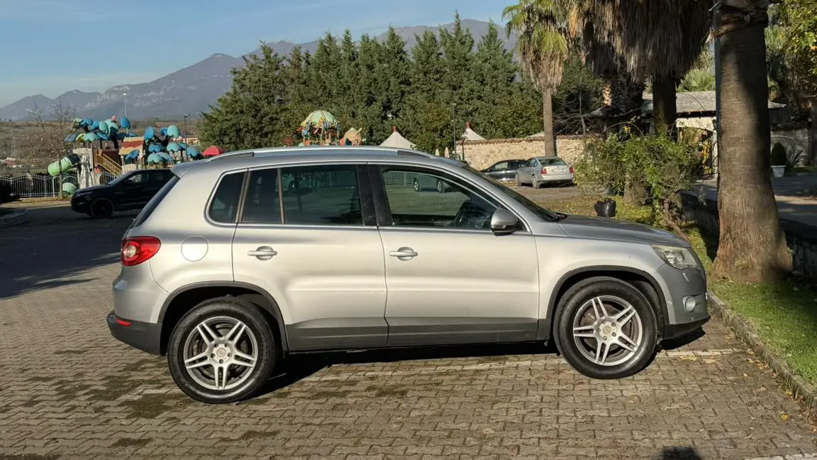 tiguan (4)