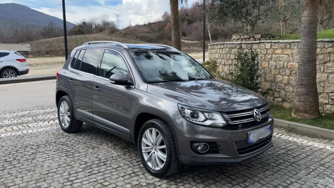 Tiguan (1)