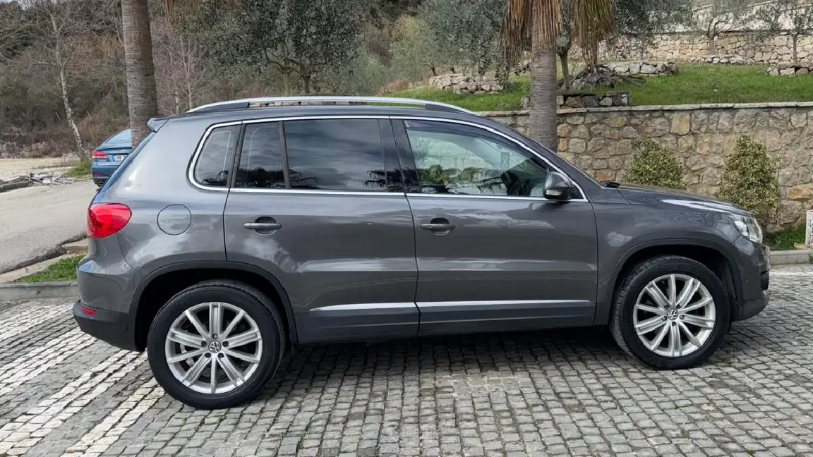 Tiguan (3)