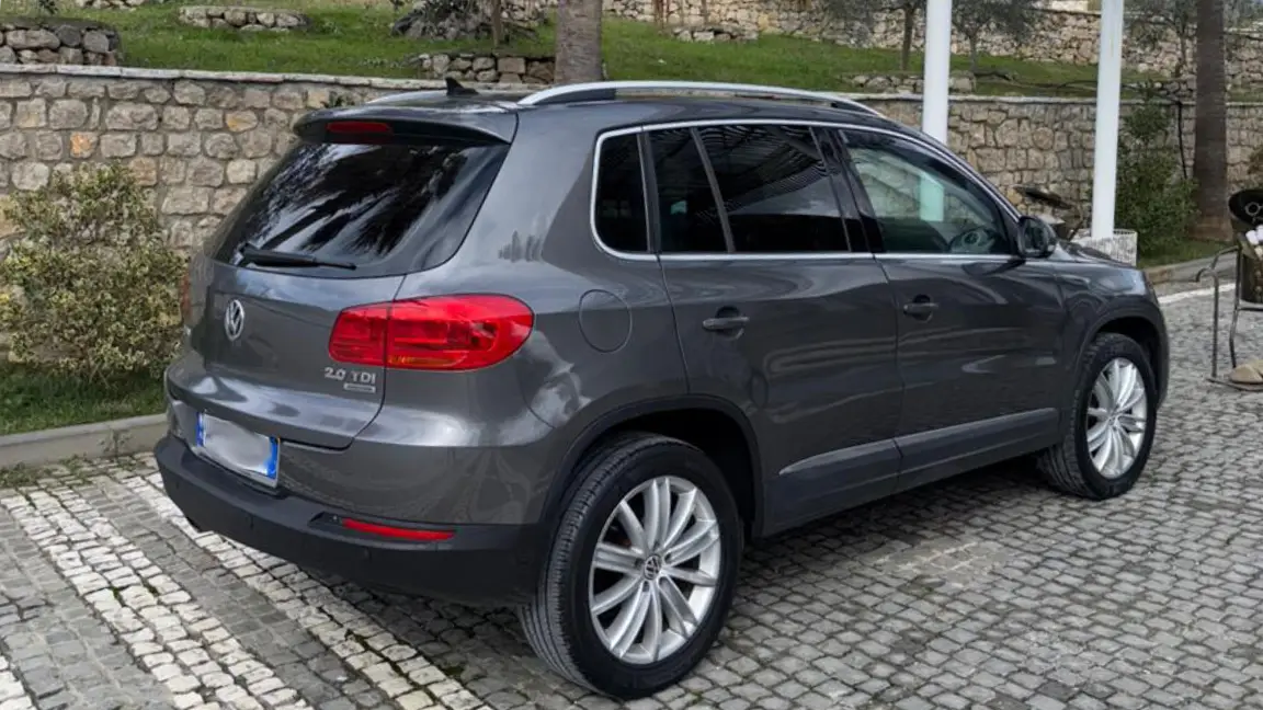 Tiguan (4)