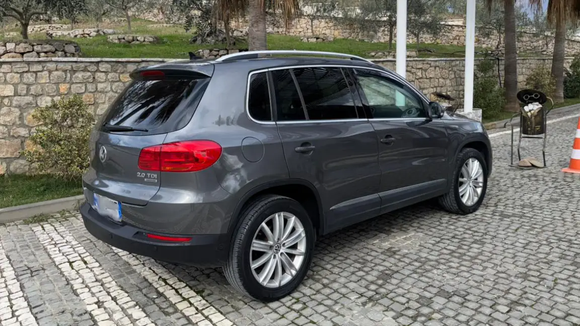Tiguan (8)