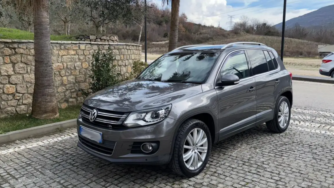 Tiguan (9)