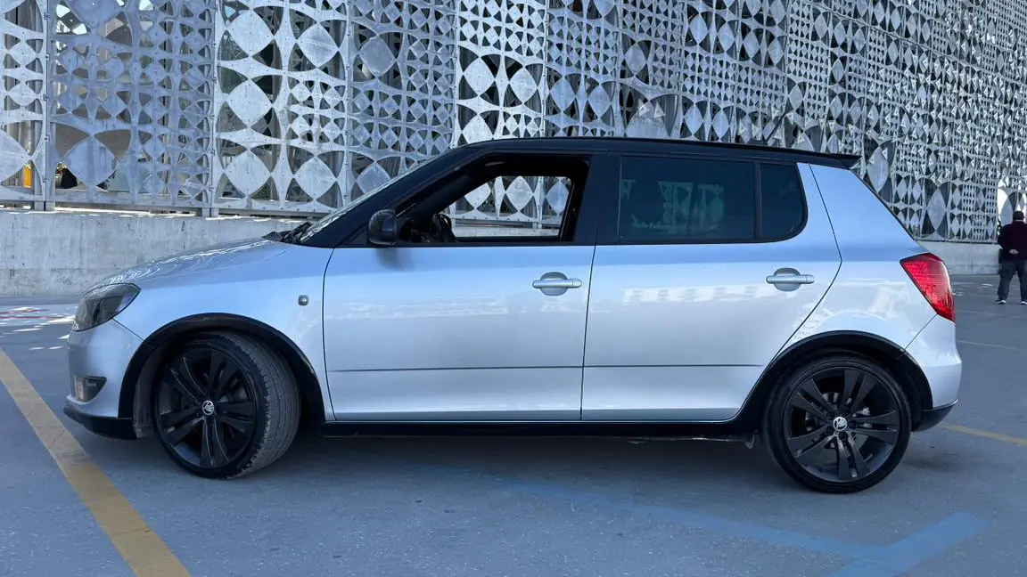 Skoda (2)