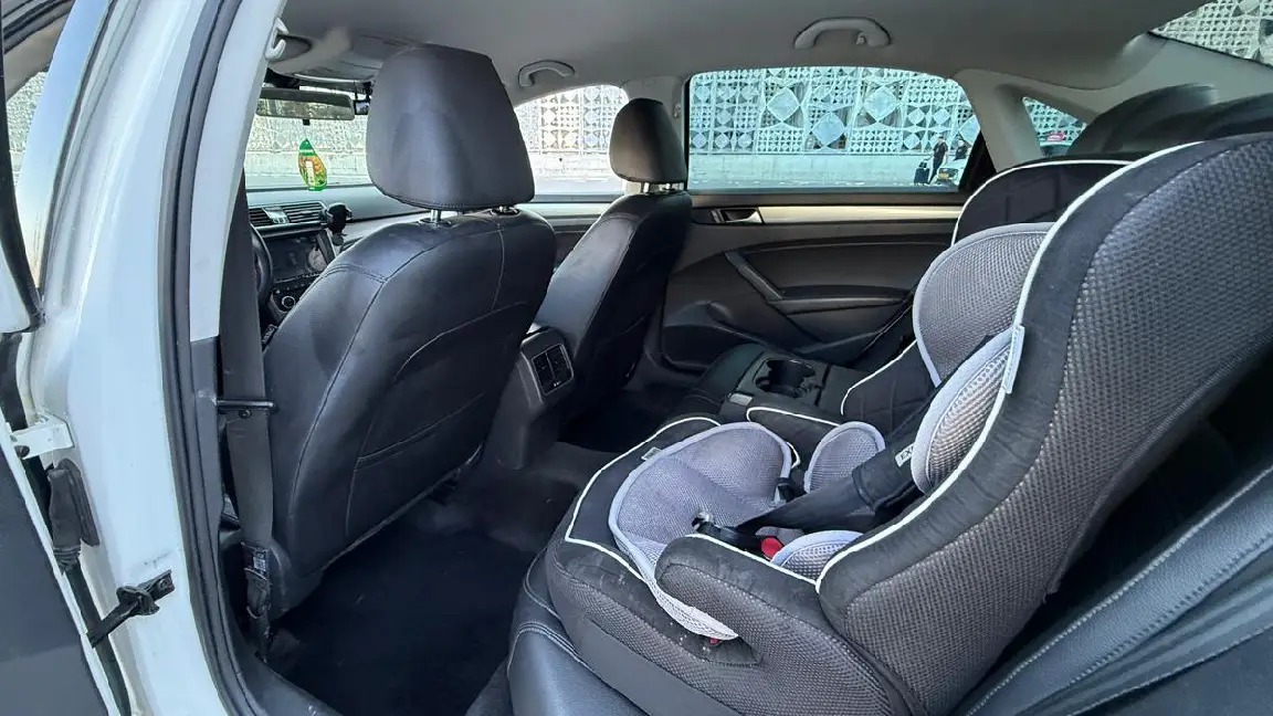 Passat (5)