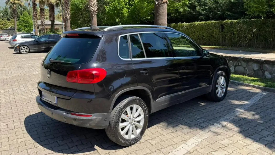 Tiguan (2)
